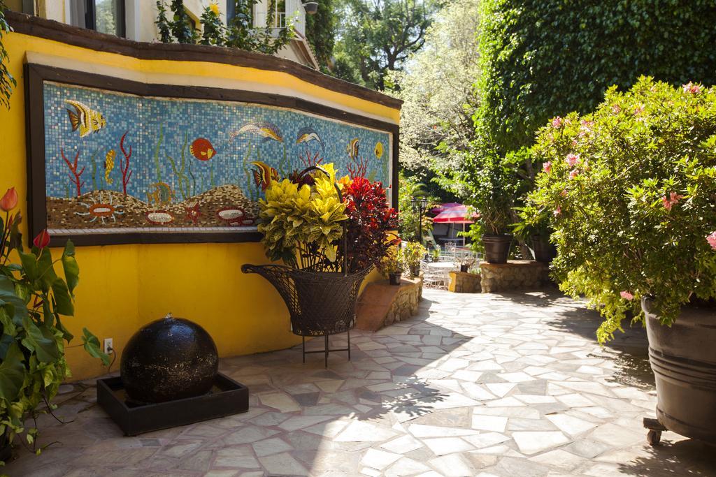 Quinta Del Gobernador Hotel Cuernavaca Bagian luar foto
