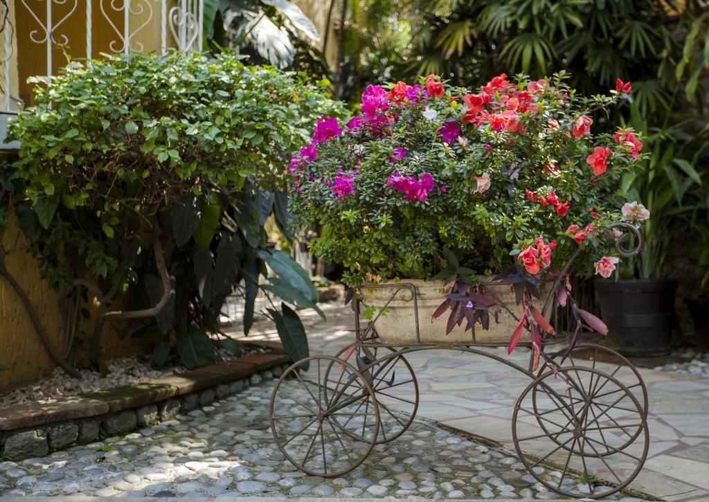 Quinta Del Gobernador Hotel Cuernavaca Bagian luar foto