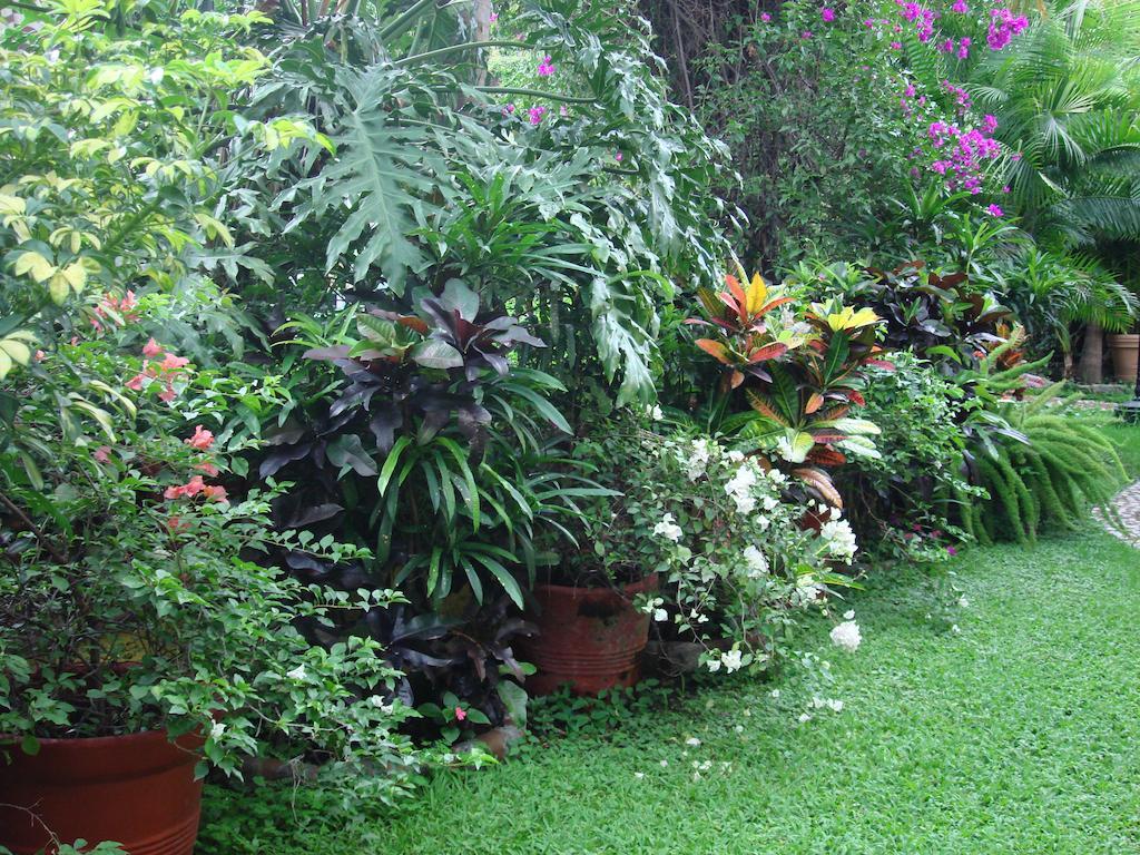 Quinta Del Gobernador Hotel Cuernavaca Bagian luar foto